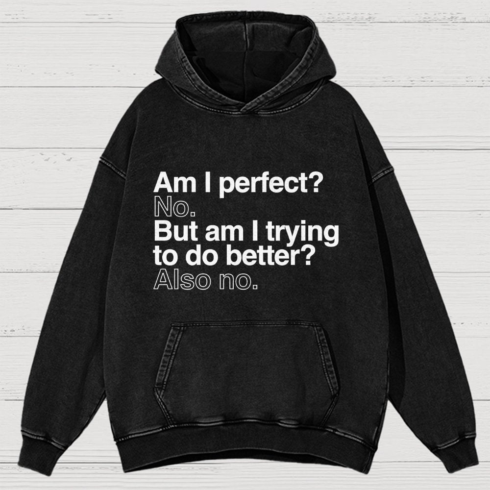 Am I Perfect No Vintage Distressed Hoodie