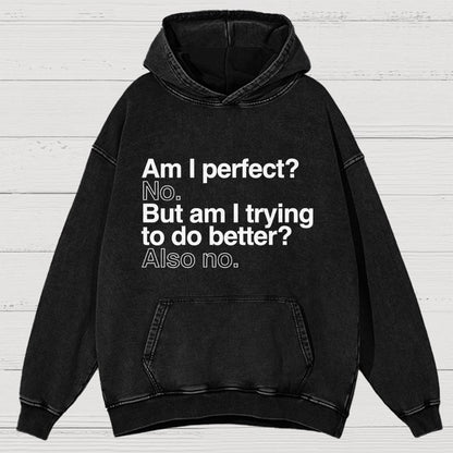 Am I Perfect No Vintage Distressed Hoodie