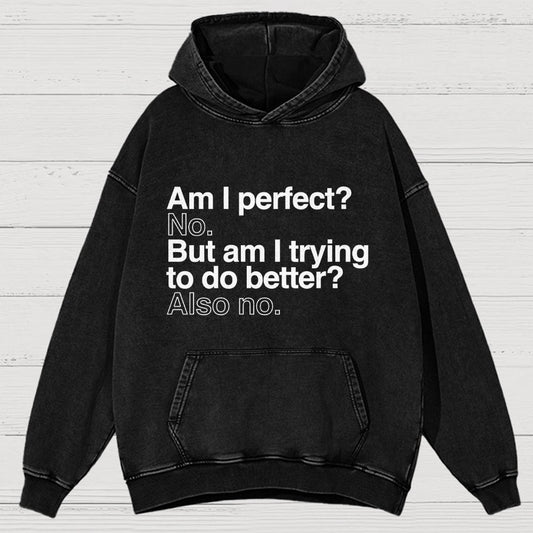 Am I Perfect No Vintage Distressed Hoodie