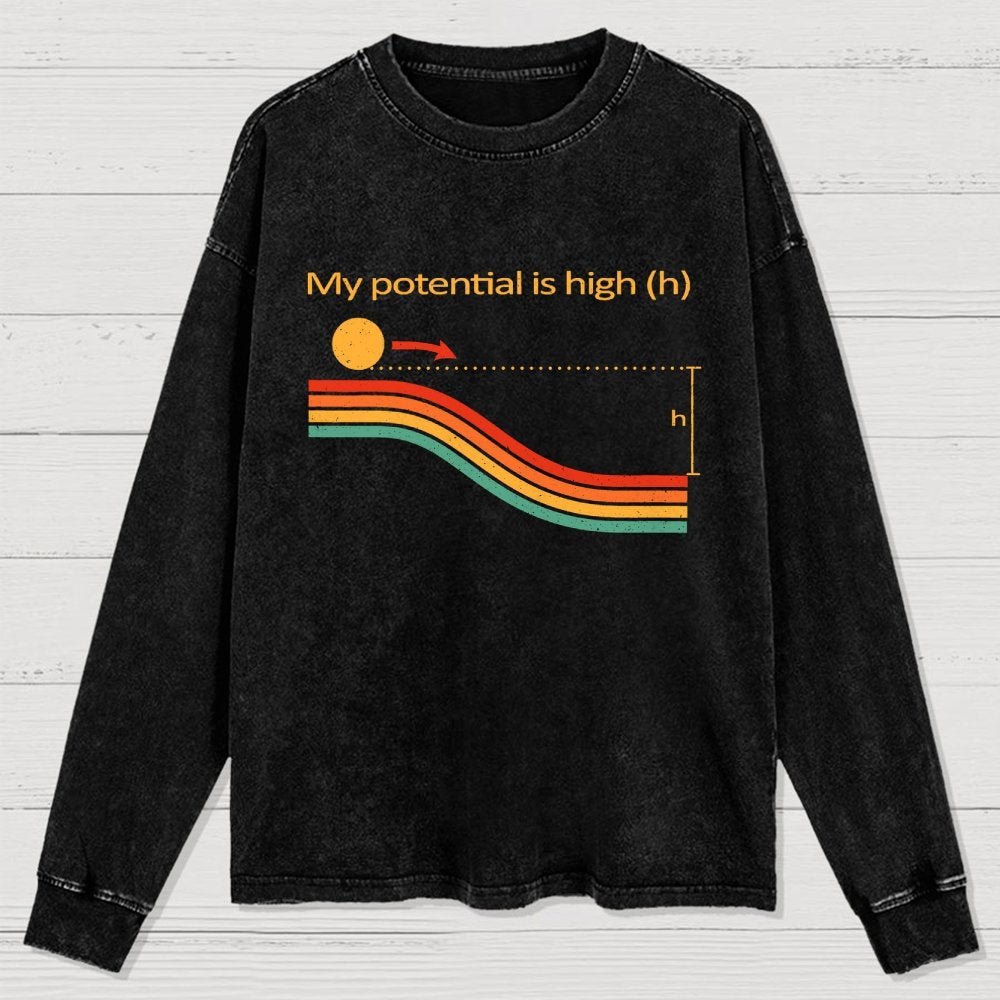 My Potential Is High Washed Long Sleeve Tee