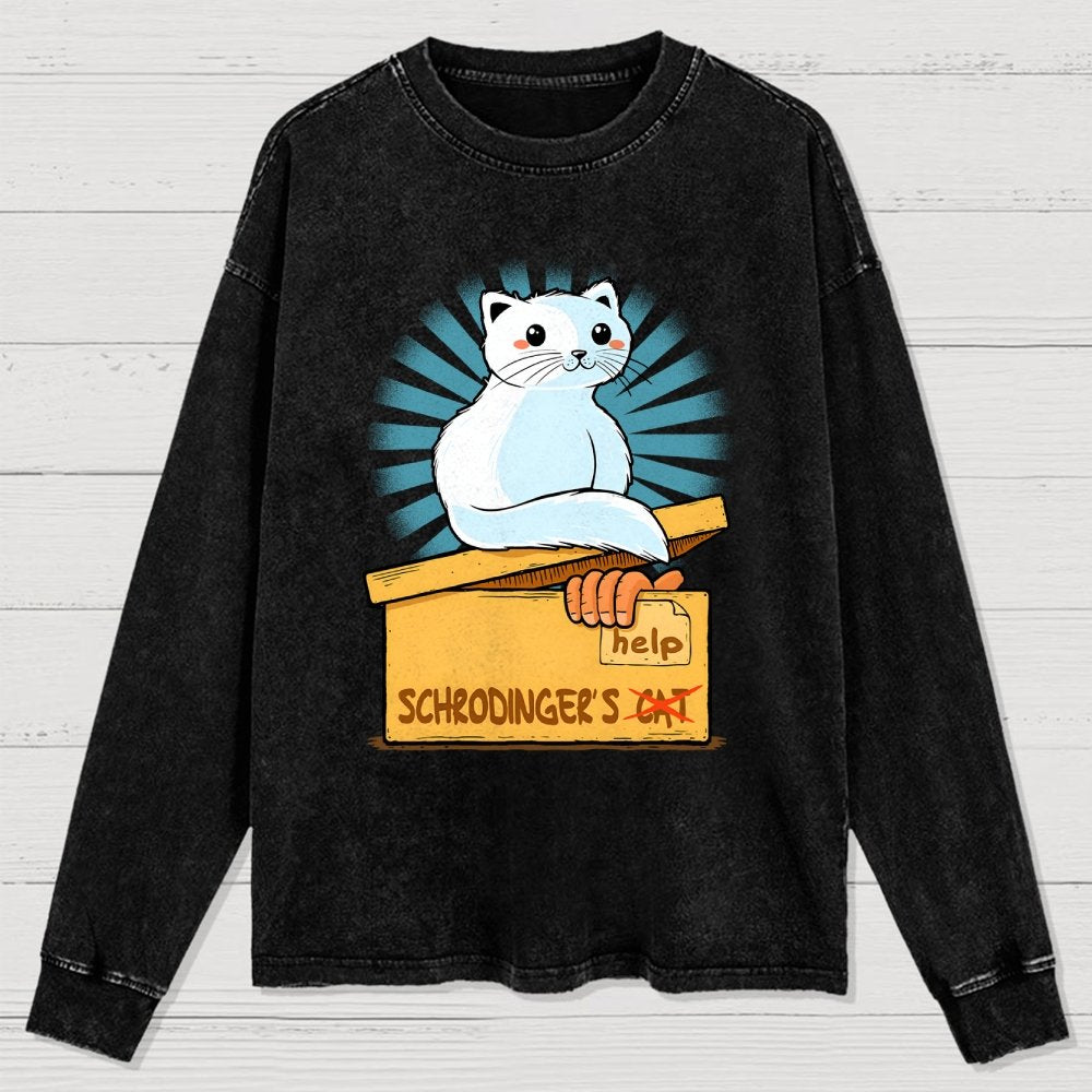 Schrodinger in a Box Washed Long Sleeve Tee