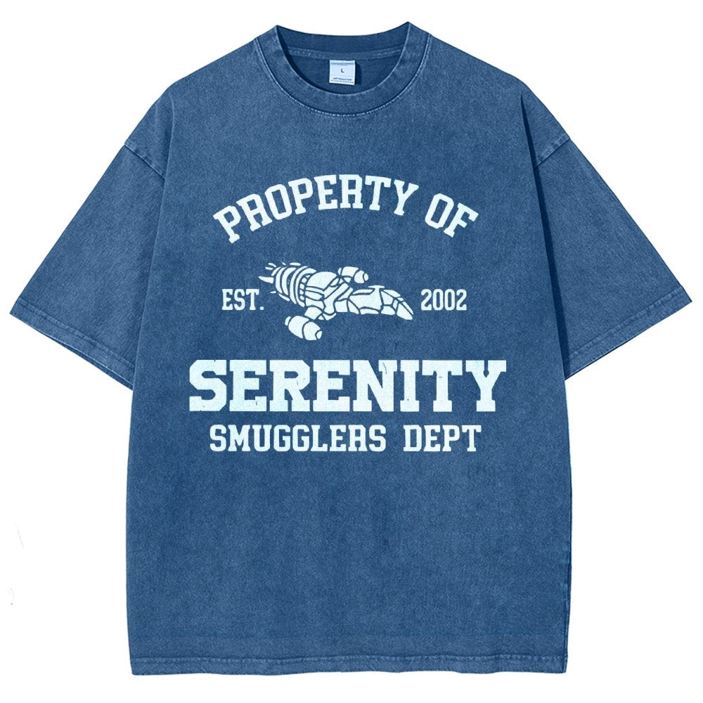 Property of Starlight Vintage Distressed T-shirt