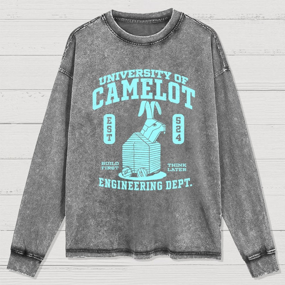 University of Nonsens Washed Long Sleeve Tee