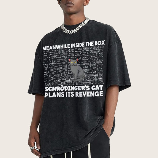 Inside The Box Schrödingers Cat Plans Its Revenge Vintage Distressed T-shirt