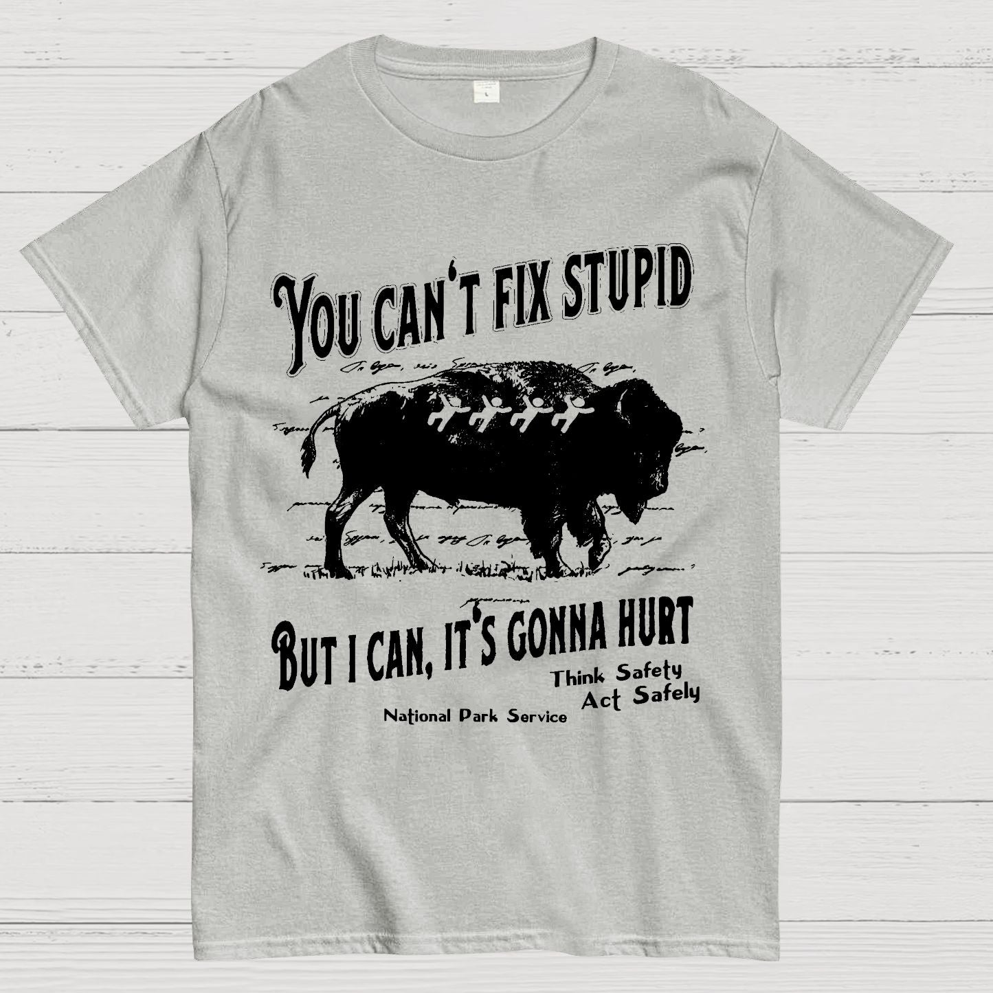 You Cant Fix Stupid Geek T-Shirt