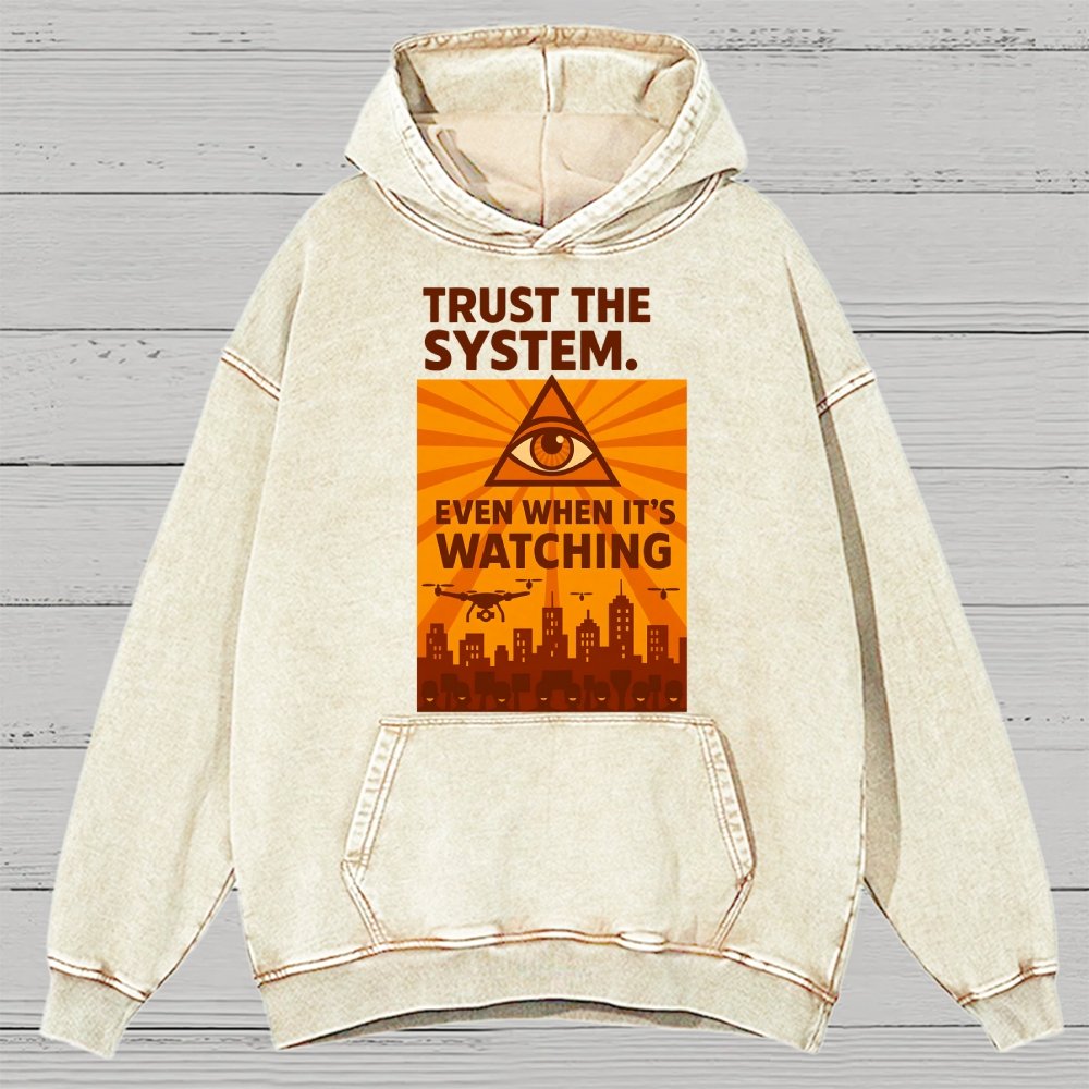 Trust The System - Dystopian Surveillance Vintage Distressed Hoodie