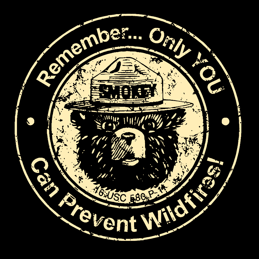Only you can prevent forest fires Geek T-Shirt
