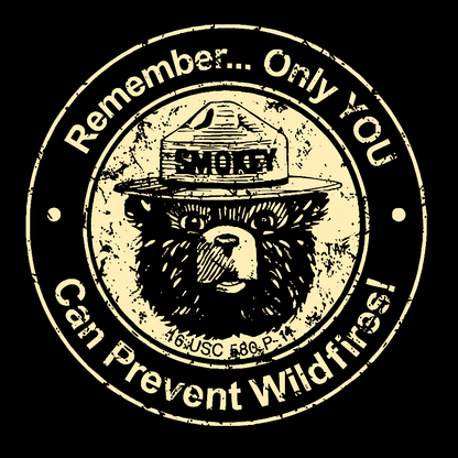 Only you can prevent forest fires Geek T-Shirt