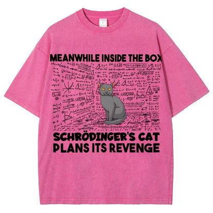 Inside The Box Schrödingers Cat Plans Its Revenge Vintage Distressed T-shirt