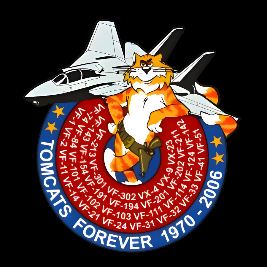F-14 Tomcat - Tomcats Forever 1970 Geek T-Shirt