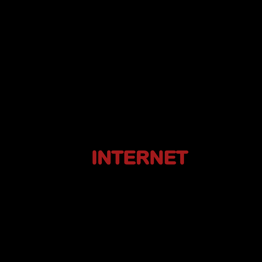 I Am Older Than The Internet Geek Cotton Hoodie