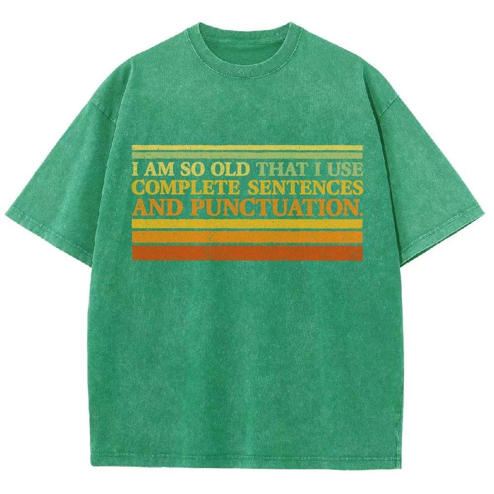 Complete Sentences and Punctuation Vintage Distressed T-shirt