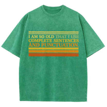 Complete Sentences and Punctuation Vintage Distressed T-shirt