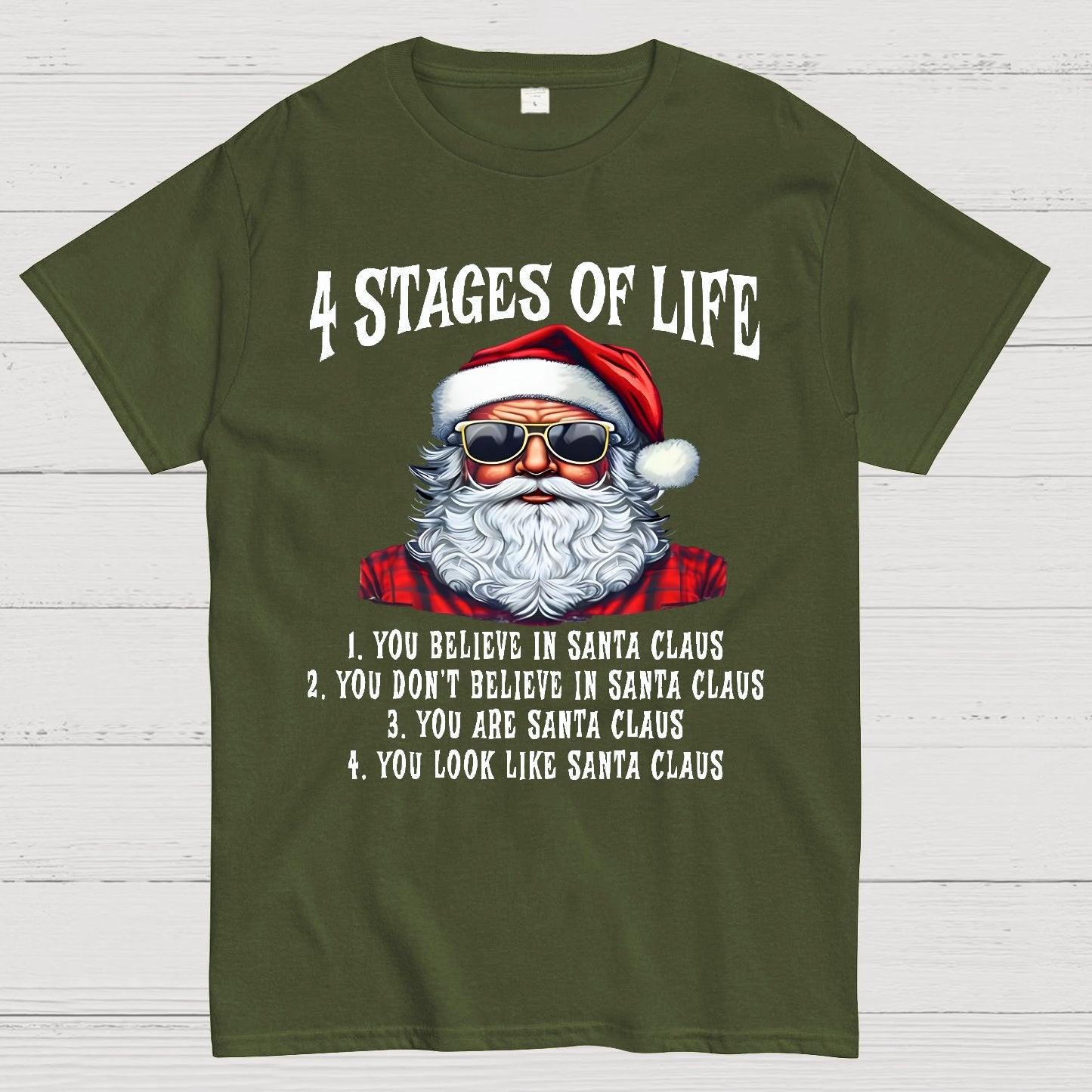 4 Stages Of Life Funny Christmas Geek T-Shirt