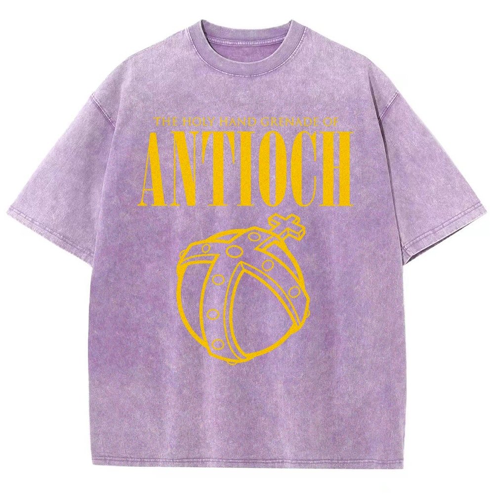 The Holy Hand Grenade of an Ancient Place Vintage Distressed T-shirt
