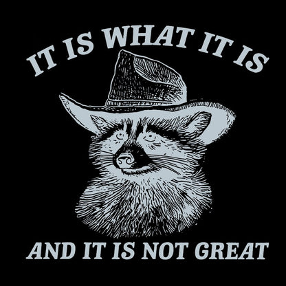 t Is What It Is And It Is Not Great Vintage Raccoon Geeky T-Shirt