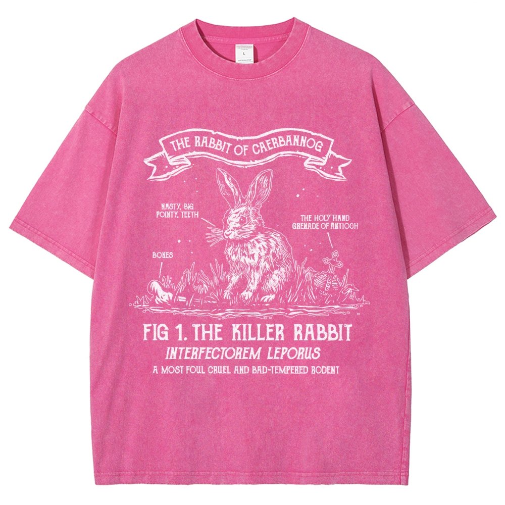 The Rabbit of Mysterious Place Vintage Distressed T-shirt