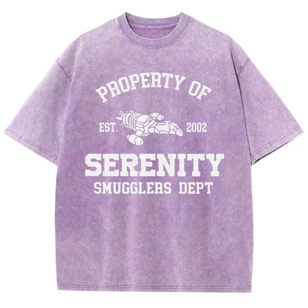 Property of Starlight Vintage Distressed T-shirt