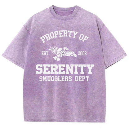 Property of Starlight Vintage Distressed T-shirt