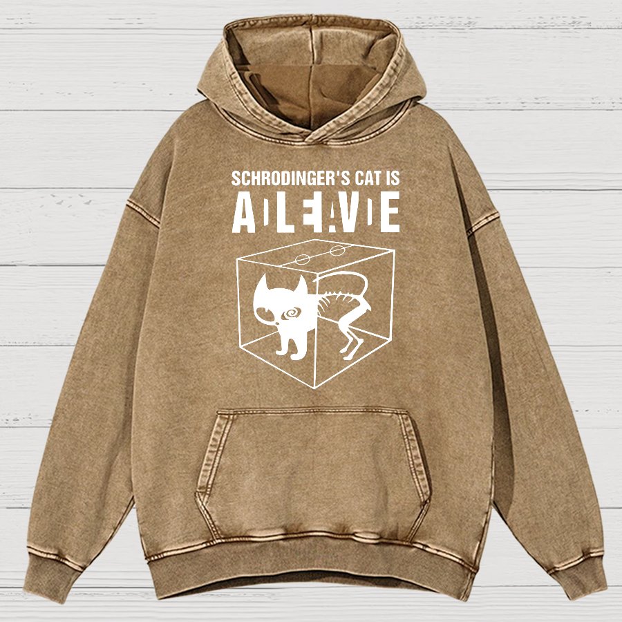 Schrodinger's Cat Vintage Distressed Hoodie