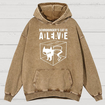 Schrodinger's Cat Vintage Distressed Hoodie