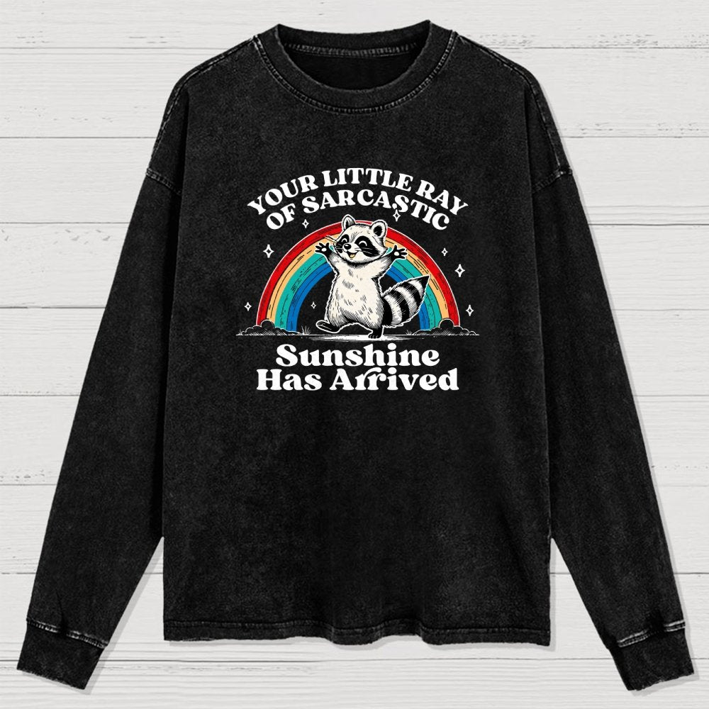 Your Little Ray of Sarcastic Sunshine Has Arrived Washed Long Sleeve Tee