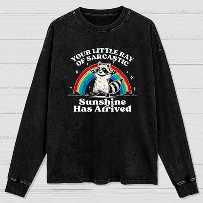 Your Little Ray of Sarcastic Sunshine Has Arrived Washed Long Sleeve Tee