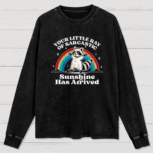 Your Little Ray of Sarcastic Sunshine Has Arrived Washed Long Sleeve Tee