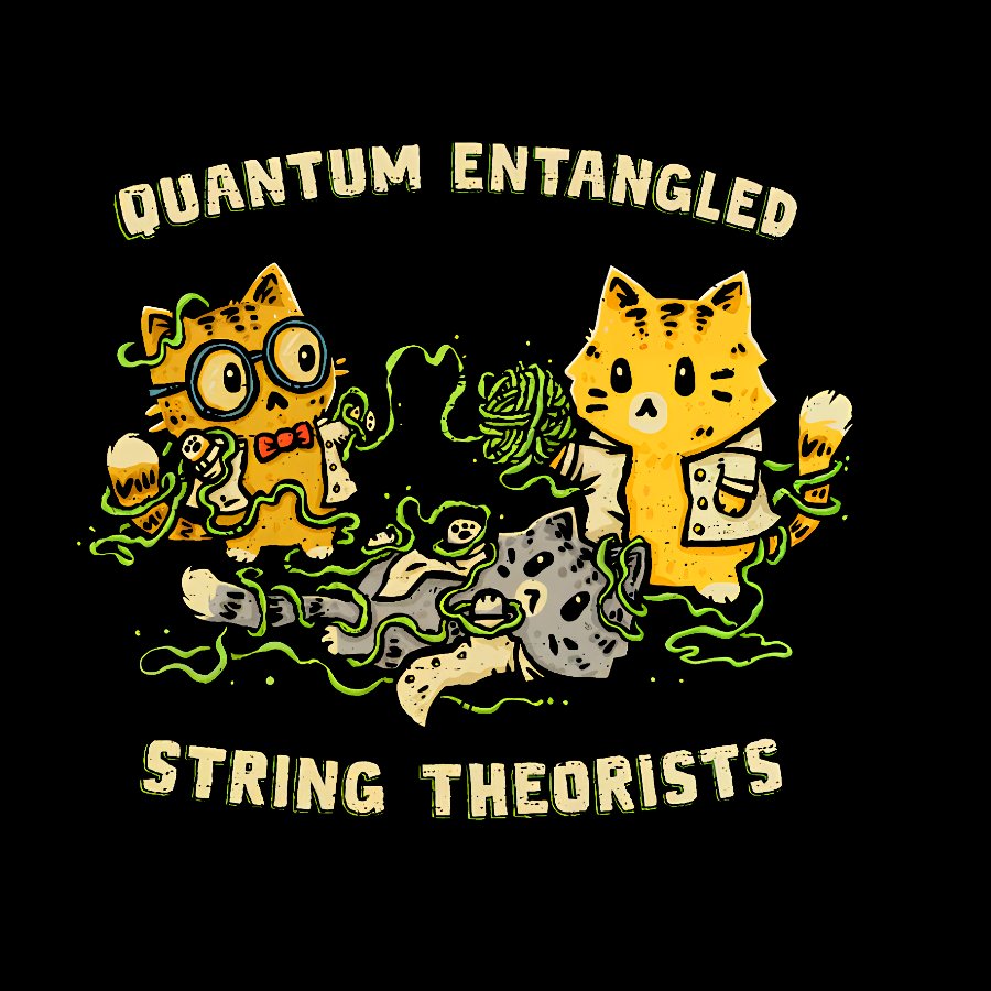 Quantum Entangled String Theorists Geek T-Shirt