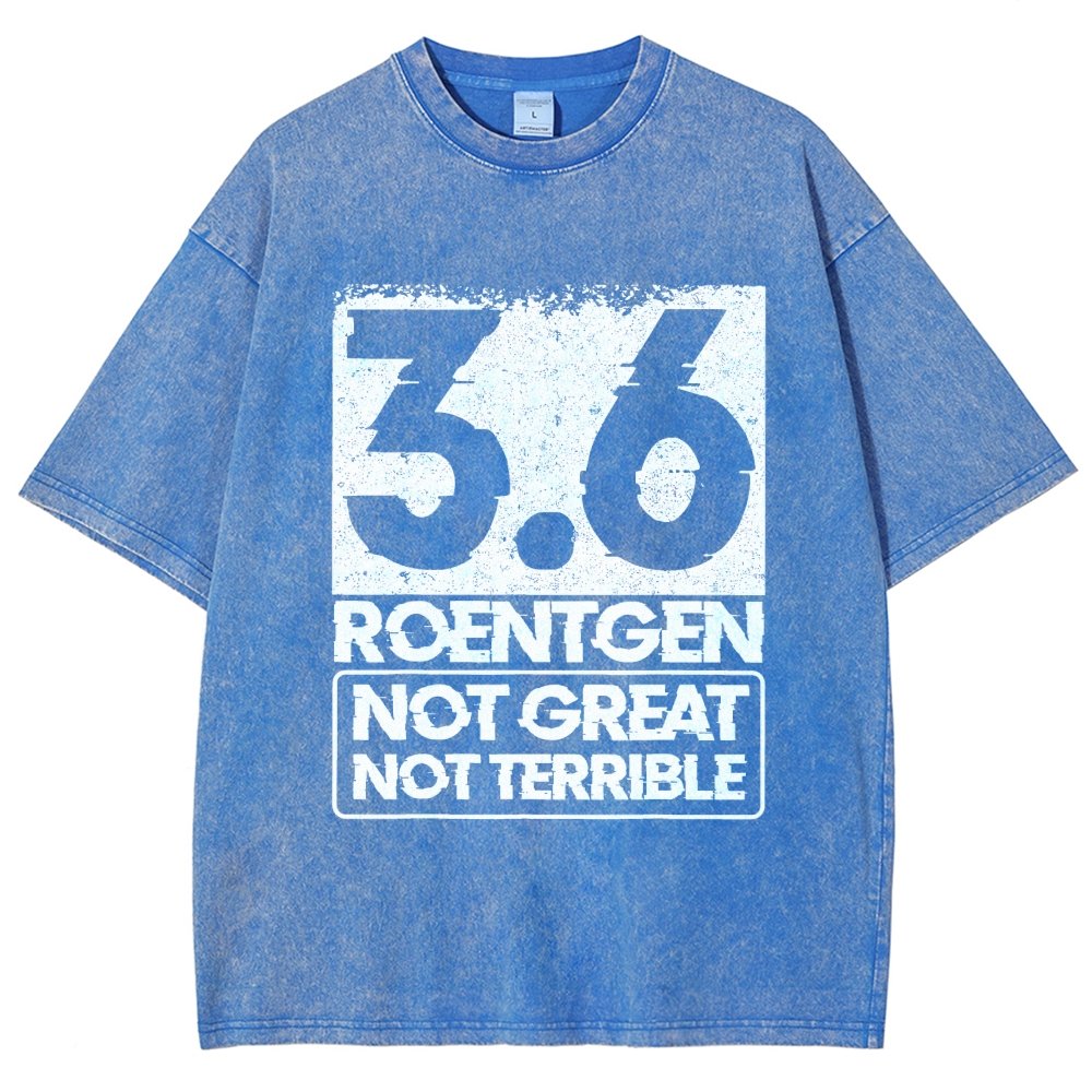 3.6 Roentgen Not Great Not Terrible Vintage Distressed T-shirt