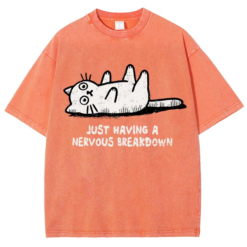 Nervous Breakdown Cat Vintage Distressed T-shirt