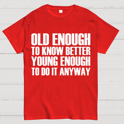 Old Enough To Know Better Young Enough To Do It Anyway Geek T-Shirt