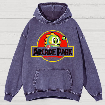 Arcade Park Vintage Distressed Hoodie
