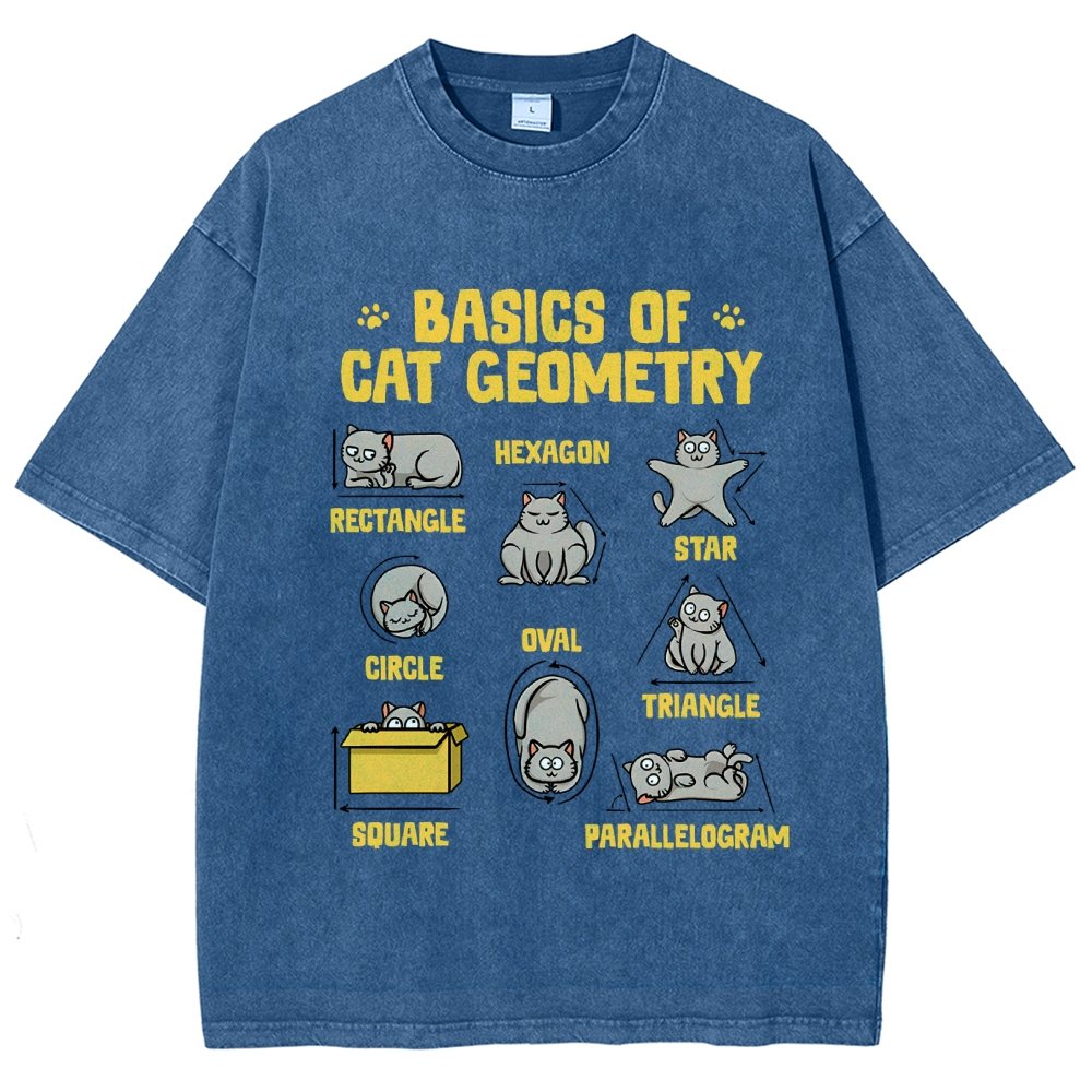 Basics of Cat Geometry Vintage Distressed T-shirt