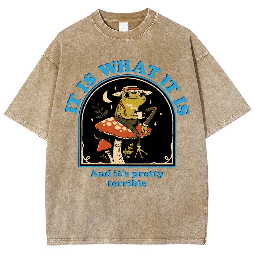 It Is What It Is And It's Pretty Terrible Vintage Distressed T-shirt