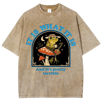 It Is What It Is And It's Pretty Terrible Vintage Distressed T-shirt