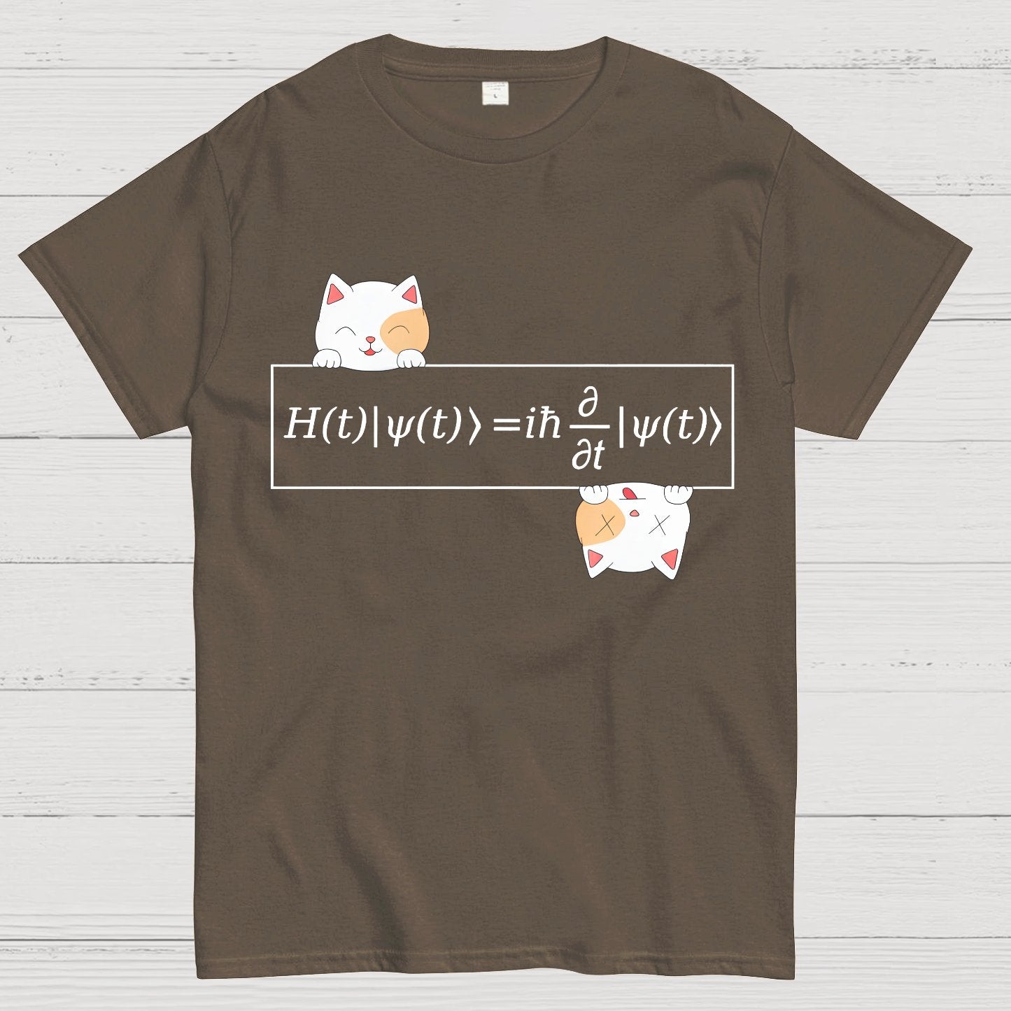 Schrödinger equation Geeky T-Shirt