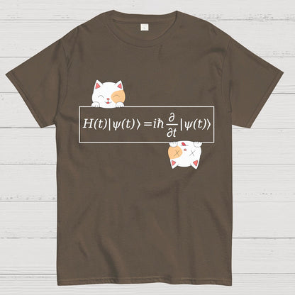 Schrödinger equation Geeky T-Shirt
