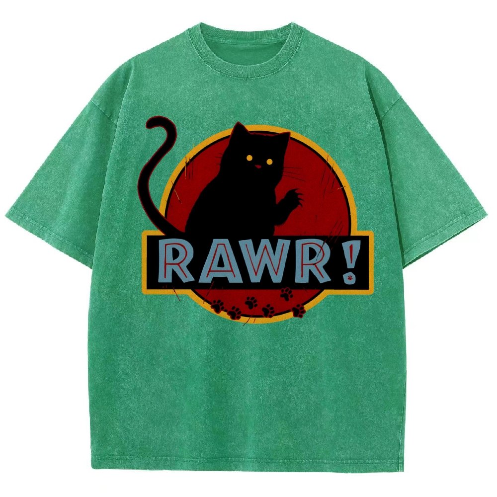 Rawr！Vintage Distressed T-shirt