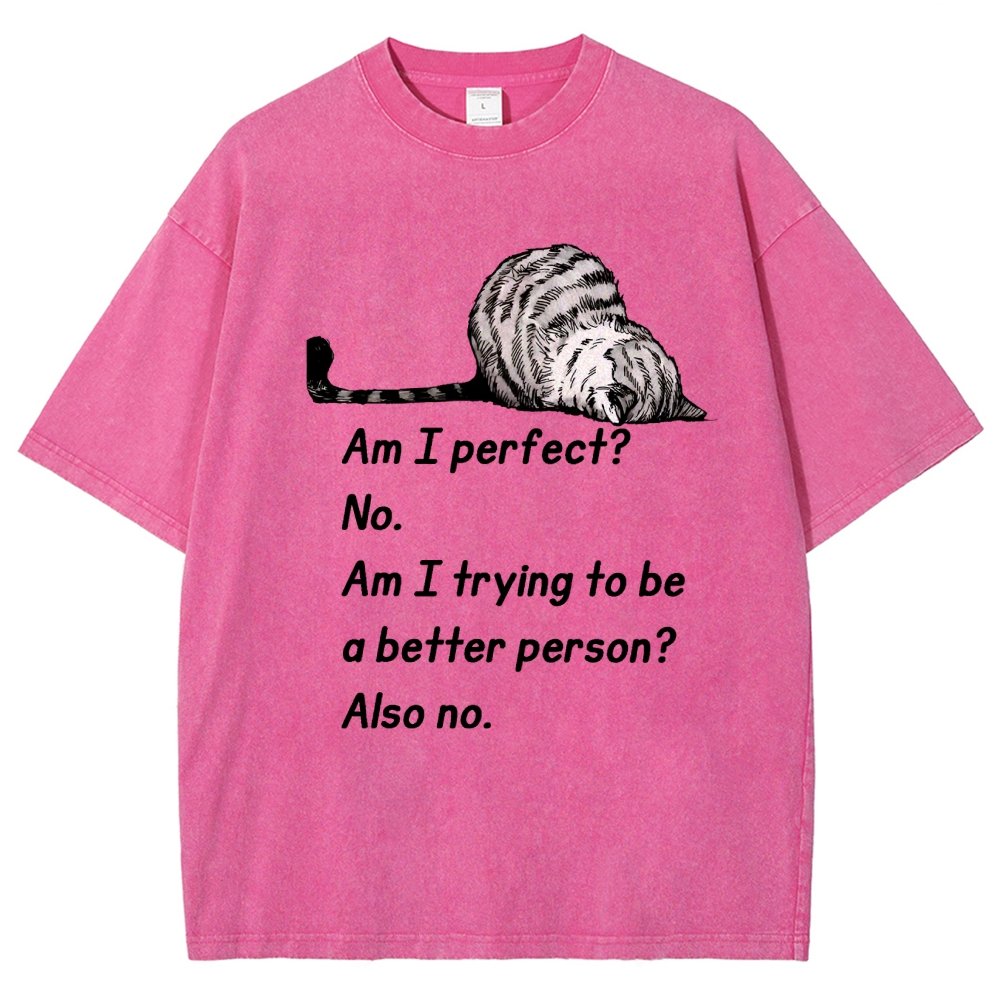 Am I Perfect No Vintage Distressed T-shirt