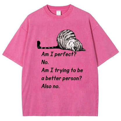 Am I Perfect No Vintage Distressed T-shirt