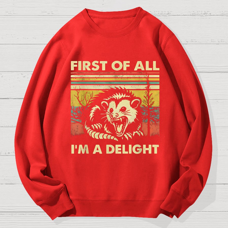 First Of All I'm A Delight Sarcastic Geek Cotton Sweatshirt