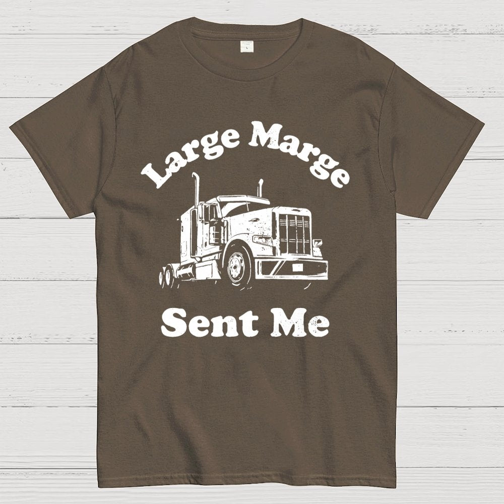 Mysterious Lady Sent Me Geek T-Shirt