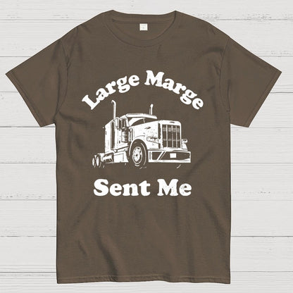 Mysterious Lady Sent Me Geek T-Shirt