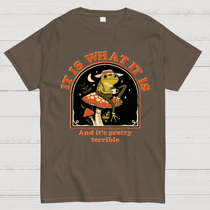 It Is What It Is And It's Pretty Terrible Geek T-Shirt