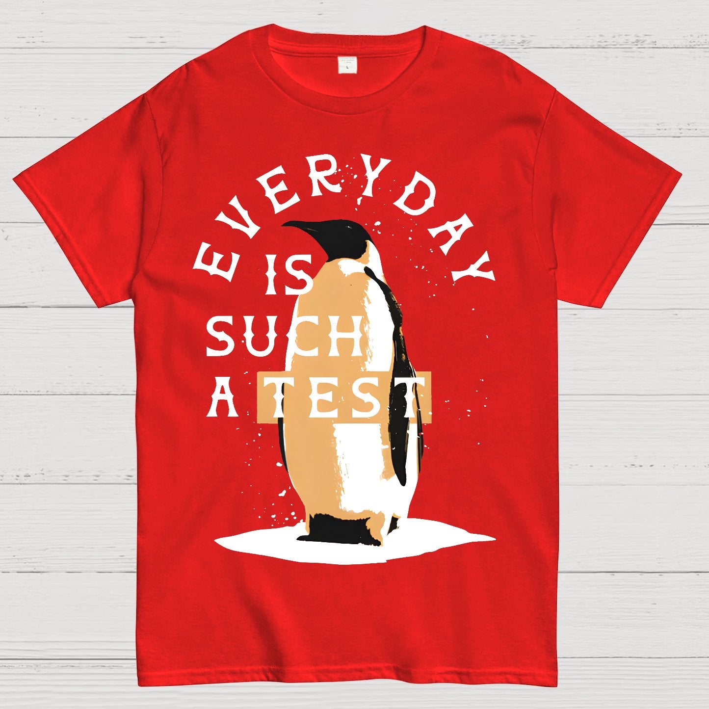 Everyday Is Such A Test Geek T-Shirt
