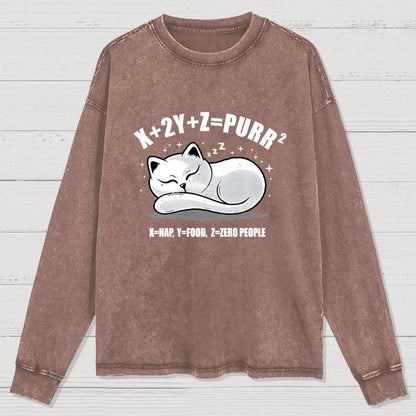 Purrfect Equation Washed Long Sleeve Tee