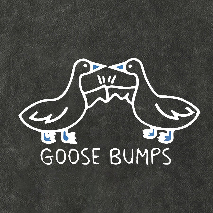 Goose Bumps Vintage Distressed T-shirt