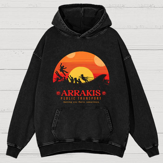 Mystic Land Getting You There Sometimes Vintage Distressed Hoodie
