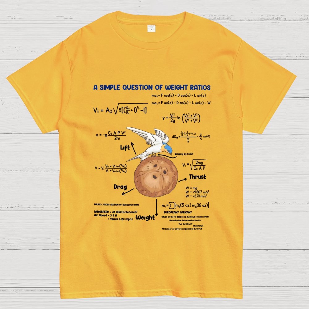 A Simple Question Of Weight Ratios Geek T-Shirt